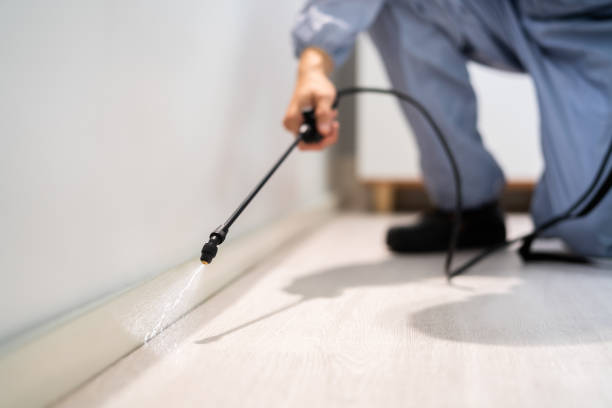 Licensed Fumigation Services service in Chickasaw, AL - Nex Pest Control