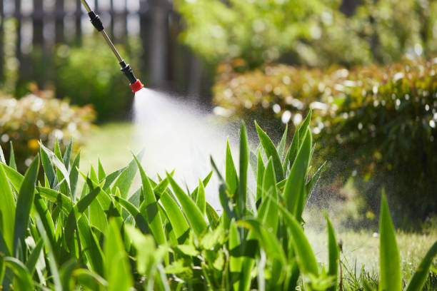 24/7 Emergency Fumigation Services experts in Chickasaw, AL