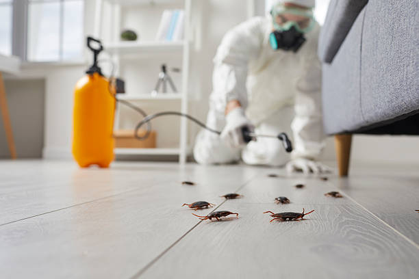 Trusted Fumigation Services service in Chickasaw, AL - Nex Pest Control